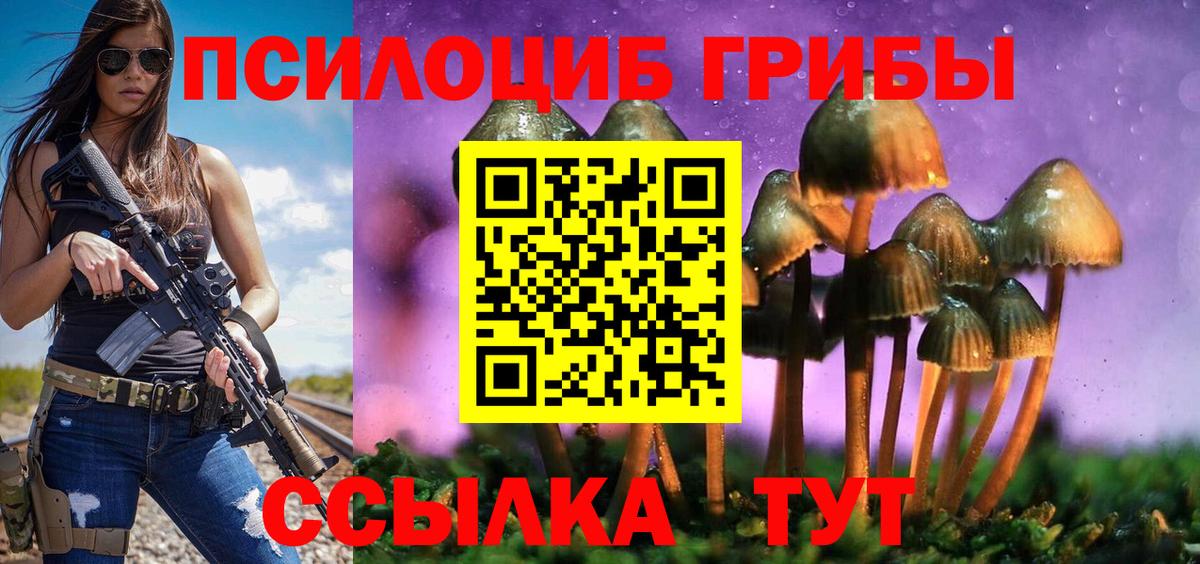 Псилоцибиновые грибы MAGIC MUSHROOMS Моздок