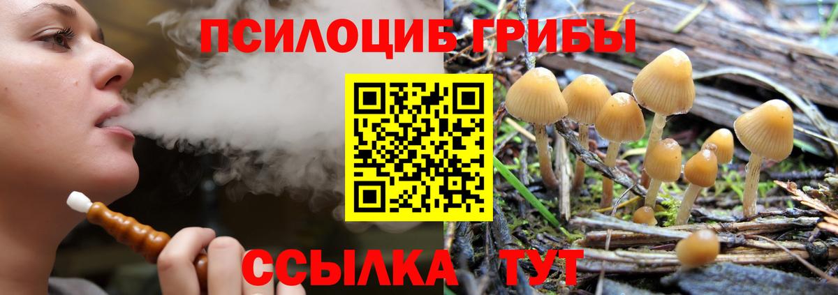 Псилоцибиновые грибы Psilocybe  Вход с VPN  Моздок 